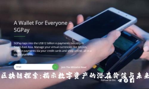 币圈区块链探索：揭示数字资产的潜在价值与未来趋势