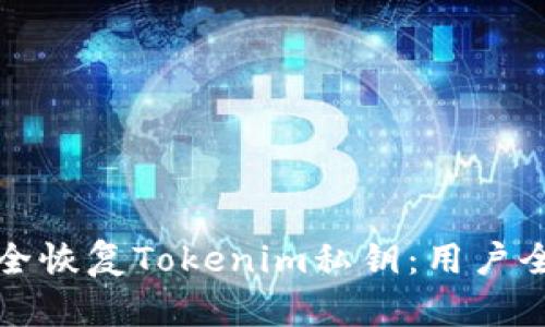 如何安全恢复Tokenim私钥：用户全面指南