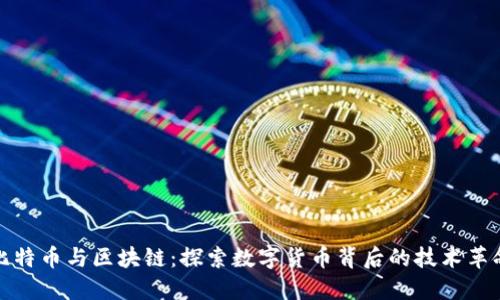 比特币与区块链：探索数字货币背后的技术革命