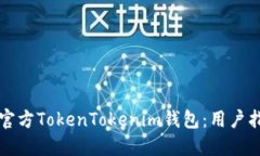 如何安全下载官方TokenTokenim钱包：用户指南与最
