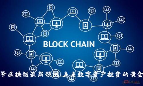 宝二爷区块链最新预测：未来数字资产投资的黄金机会
