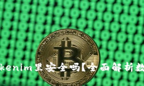 比特币放在Tokenim里安全吗？全面解析数字资产安全性