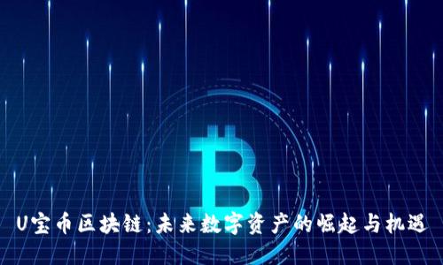 U宝币区块链：未来数字资产的崛起与机遇
