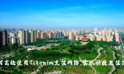 如何高效使用Tokenim充值网络，实现快捷充值体验