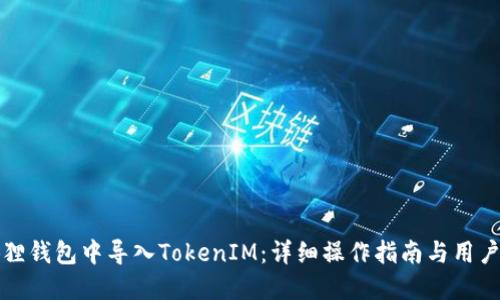 如何在狐狸钱包中导入TokenIM：详细操作指南与用户经验分享