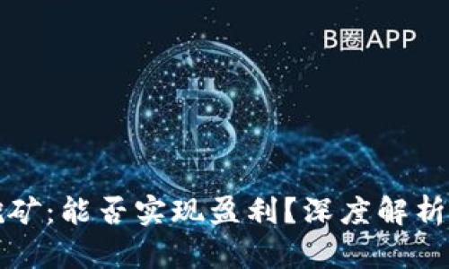 区块链币挖矿：能否实现盈利？深度解析与投资建议