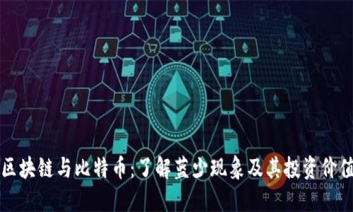 区块链与比特币：了解蓝少现象及其投资价值