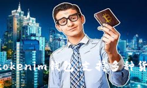 深度解析Tokentokenim钱包：支持多种货币链的完美选择