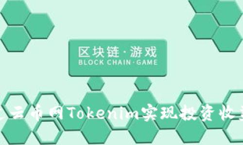 如何通过云币网Tokenim实现投资收益最大化