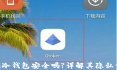  tokenim冷钱包安全吗?详解其隐私保护机制