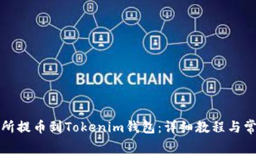 如何将交易所提币到Tokenim钱包：详细教程与常见问题解答