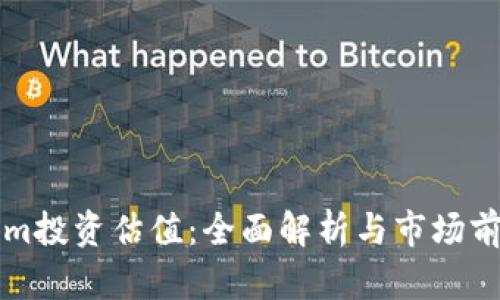 Tokenim投资估值：全面解析与市场前景展望