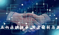 中国真正的区块链币：深度解析与未来展望