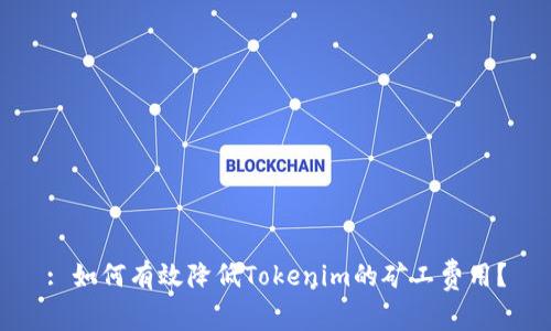 : 如何有效降低Tokenim的矿工费用？
