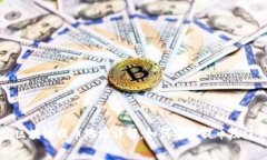 支付宝区块链提币地址详解：如何安全提币及注