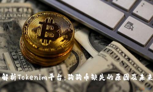 深入解析Tokenim平台：狗狗币缺失的原因及未来展望