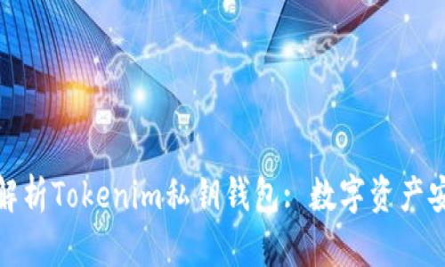 buiati全面解析Tokenim私钥钱包: 数字资产安全的新标准