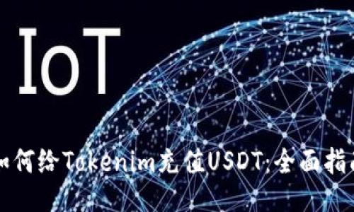 如何给Tokenim充值USDT：全面指南