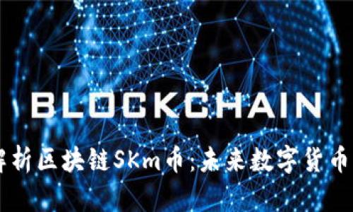 详细解析区块链SKm币：未来数字货币的新星