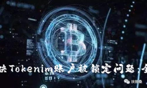 如何解决Tokenim账户被锁定问题：全面指南