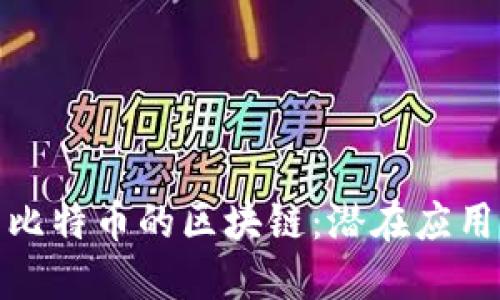 探索类似于比特币的区块链：潜在应用与未来发展