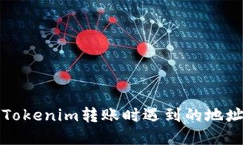 如何解决Tokenim转账时遇到的地址错误问题