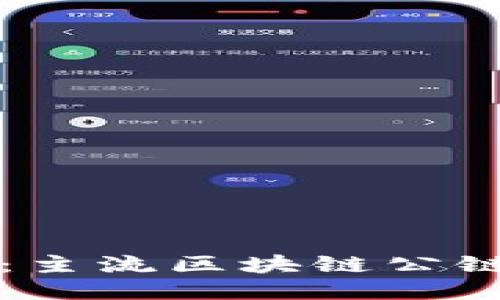 比特币：主流区块链公链的王者
