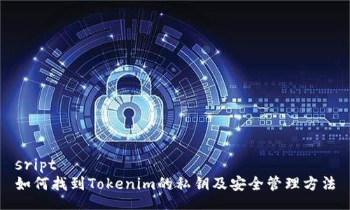 sript
如何找到Tokenim的私钥及安全管理方法