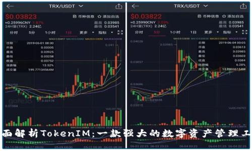 全面解析TokenIM：一款强大的数字资产管理工具