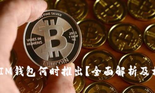 TokenTokenIM钱包何时推出？全面解析及相关问题解答