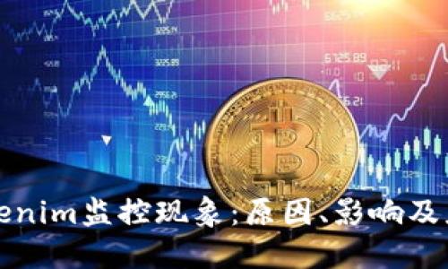 解读Tokenim监控现象：原因、影响及应对策略