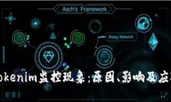 解读Tokenim监控现象：原因、影响及应对策略