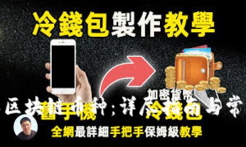 在哪里购买区块链币种：详尽指南与常见问题解答