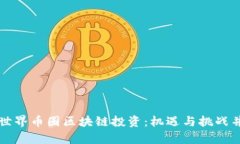 深入探讨世界币圈区块链投资：机遇与挑战并存