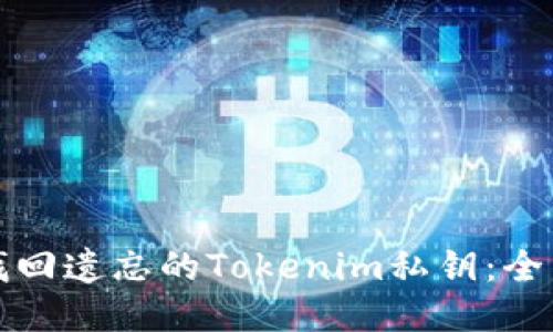 如何找回遗忘的Tokenim私钥：全面指南