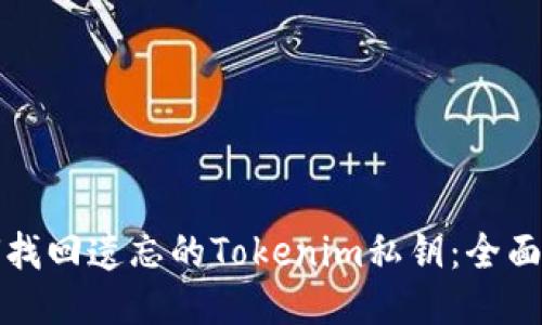 如何找回遗忘的Tokenim私钥：全面指南