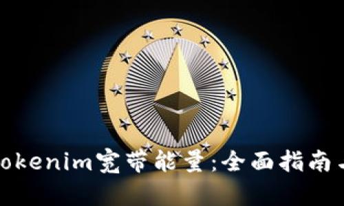 如何获取Tokenim宽带能量：全面指南与实用技巧