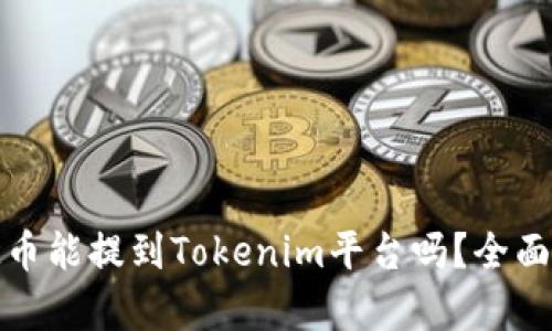 ### KSM币能提到Tokenim平台吗？全面分析与指南