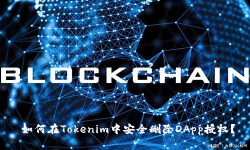  如何在Tokenim中安全删除DApp授权？
