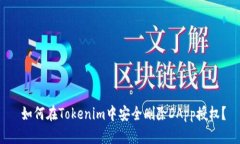  如何在Tokenim中安全删除DApp授权？