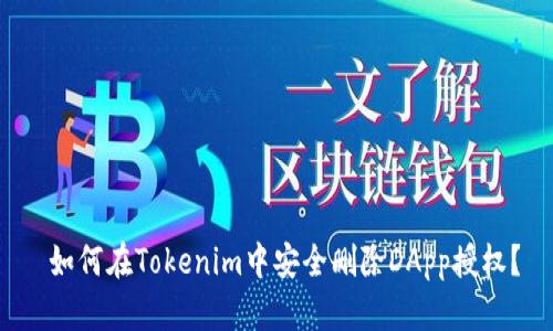  如何在Tokenim中安全删除DApp授权？