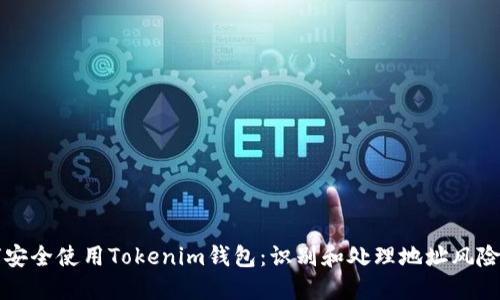 如何安全使用Tokenim钱包：识别和处理地址风险指南