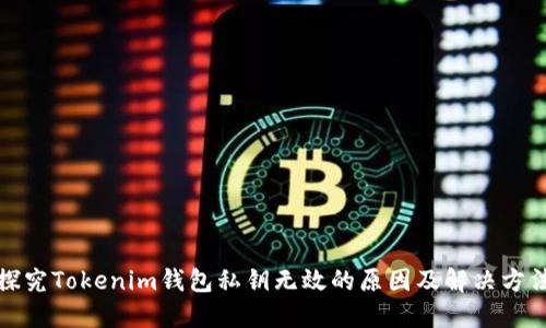 探究Tokenim钱包私钥无效的原因及解决方法