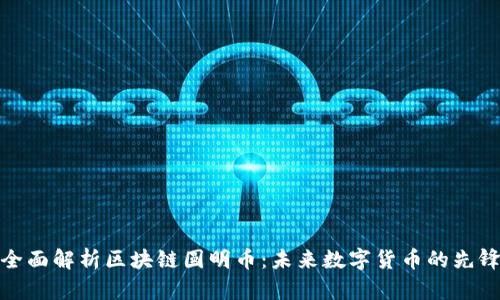 全面解析区块链圆明币：未来数字货币的先锋