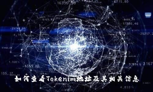 如何查看Tokenim地址及其相关信息