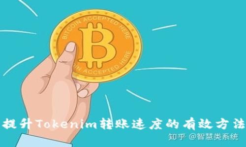 提升Tokenim转账速度的有效方法
