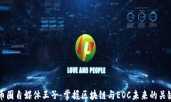 币圈自媒体王子：掌握区块链与EOC未来的关键