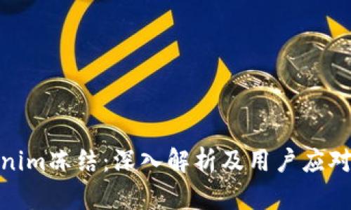 Tokenim冻结：深入解析及用户应对策略