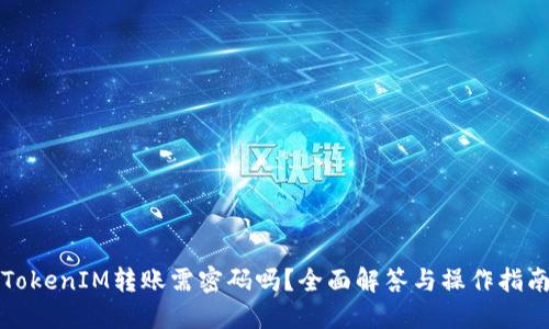 TokenIM转账需密码吗？全面解答与操作指南
