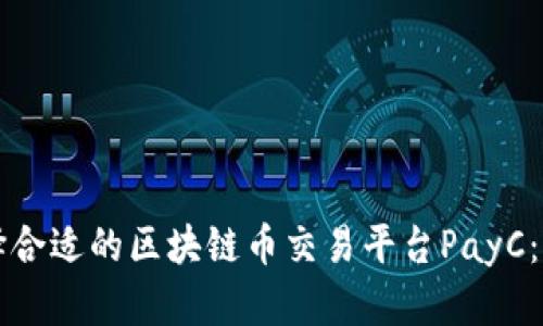 如何选择合适的区块链币交易平台PayC：全面指南